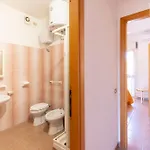 Oasy4 * וילסימיוס